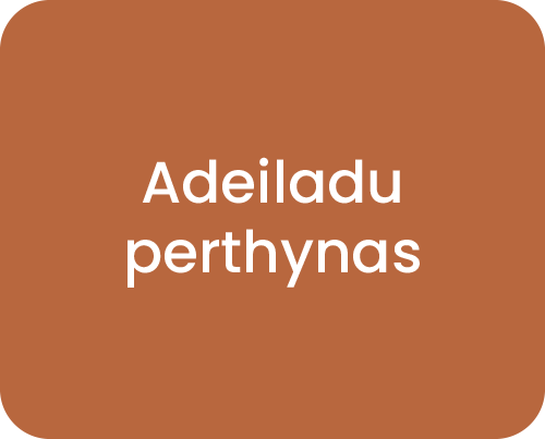 Adeiladu perthynas