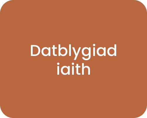 Datblygiad iaith