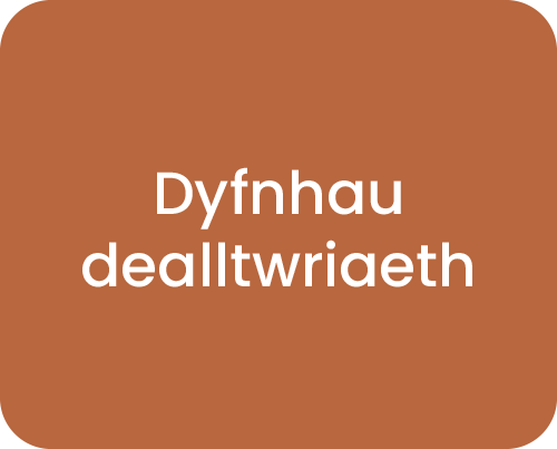 Dyfnhau dealltwriaeth